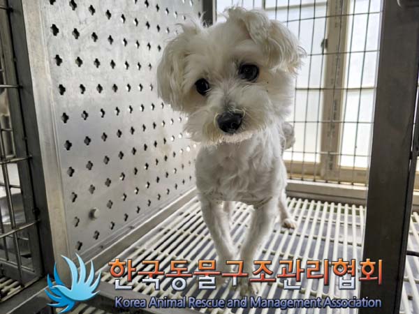 한국동물구조관리협회_411311202300394